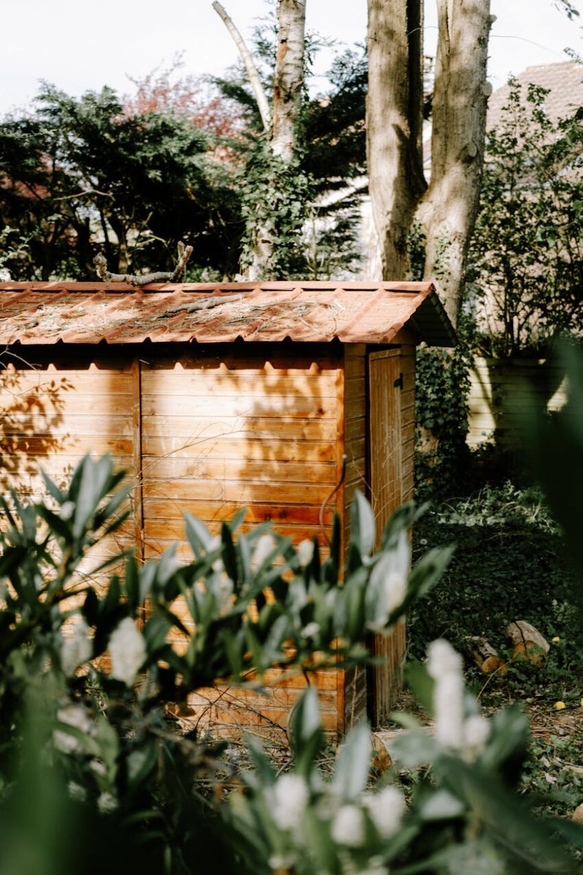 wooden shed in garden